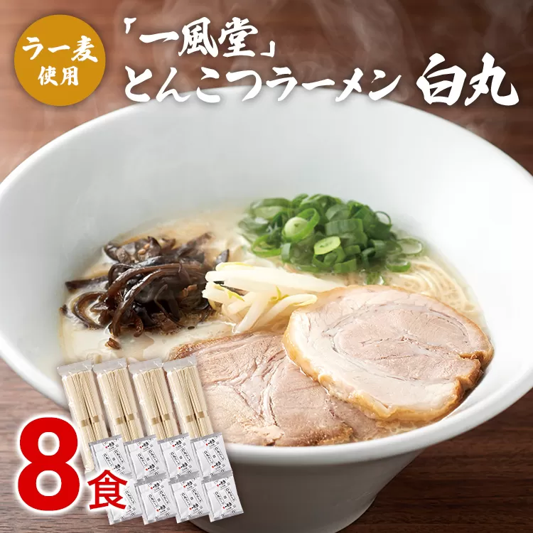 ラー麦使用 「一風堂」 とんこつ ラーメン 白丸 (8食) 豚骨ラーメン ストレート麺 お取り寄せグルメ お取り寄せ 福岡 お土産 九州 ご当地グルメ 福岡土産 取り寄せ グルメ 福岡県 食品