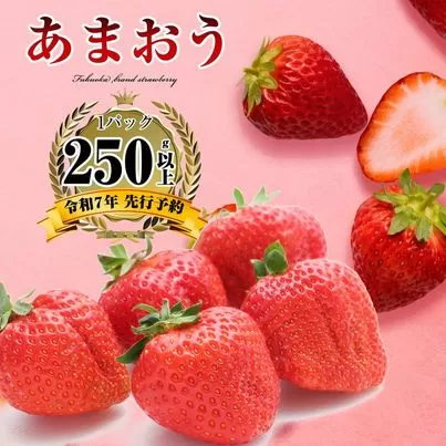 【2025年発送 先行予約】500g以上(250g以上×2パック) 福岡県産いちご あまおう SF083-1【福岡県須恵町】