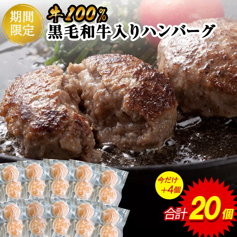 120g×20個 肉肉しい 牛100% 黒毛和牛入り ハンバーグステーキ 計2400g SF087-1[福岡県須恵町]