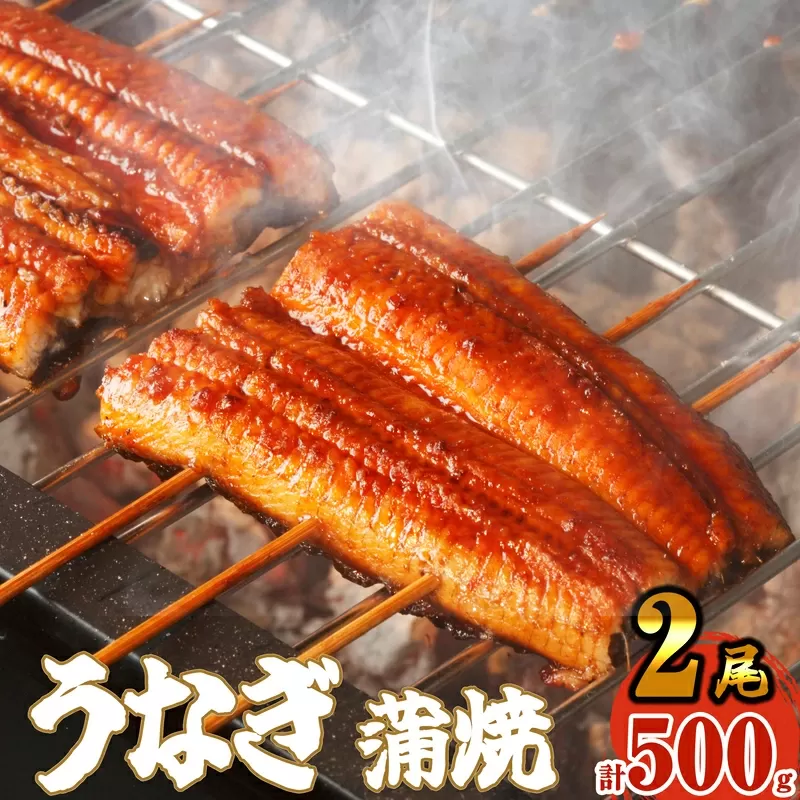 ふっくら肉厚 うなぎ蒲焼 2尾 500g SF010-2