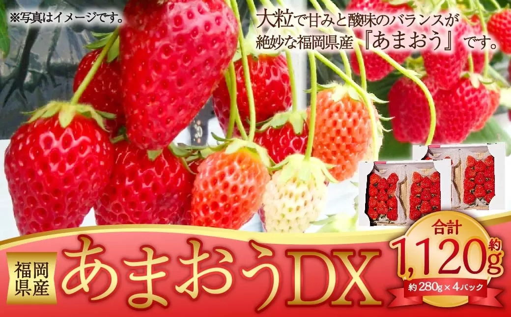 あまおうDX 約280g×4パック 合計約1120g デラックス いちご 苺 果物 くだもの フルーツ 【2026年2月上旬～4月上旬発送予定】
