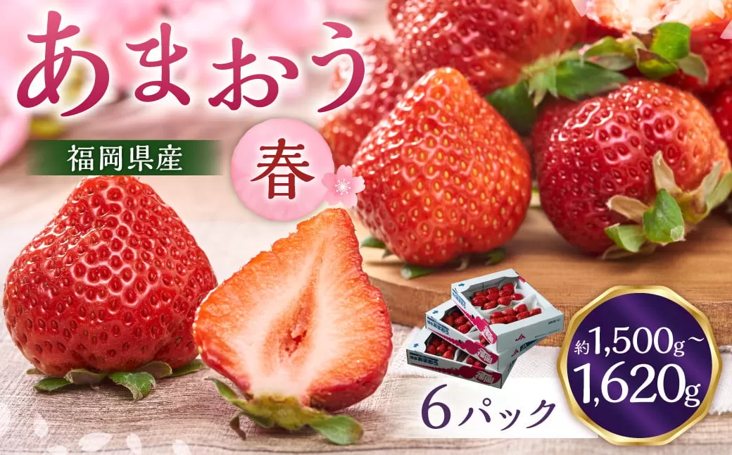 福岡産【春】あまおう6パック いちご 苺 イチゴ 果物 くだもの フルーツ 冷蔵 【2026年2月上旬～3月下旬発送予定】