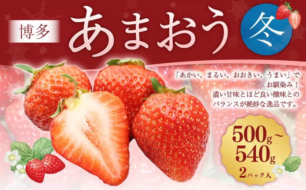 博多あまおう2パック（冬） 250g～270g×2パック 合計約500g～540g あまおう いちご 苺 イチゴ フルーツ 果物 くだもの【2025年12月上旬-2026年1月下旬発送予定】