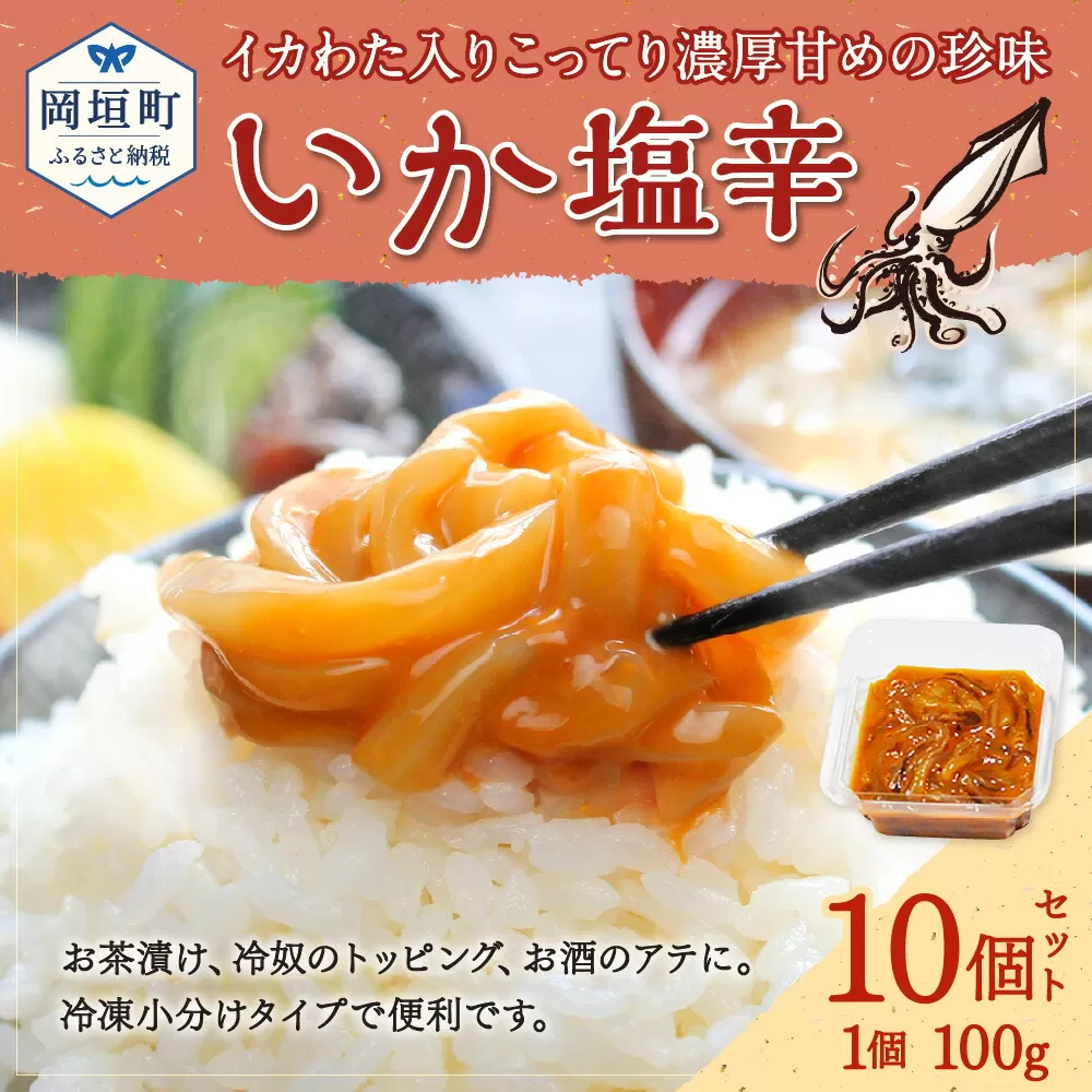 いか塩辛10食セット 岡垣町 いか 塩辛 珍味 いかわた 魚介 魚介類 冷凍 小分け おつまみ