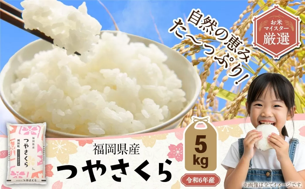 【R6年産米9月末で受付終了】【令和6年産】福岡県産つやさくら 5kg 岡垣町ふるさと納税返礼品 米 コメ こめ お米 精米