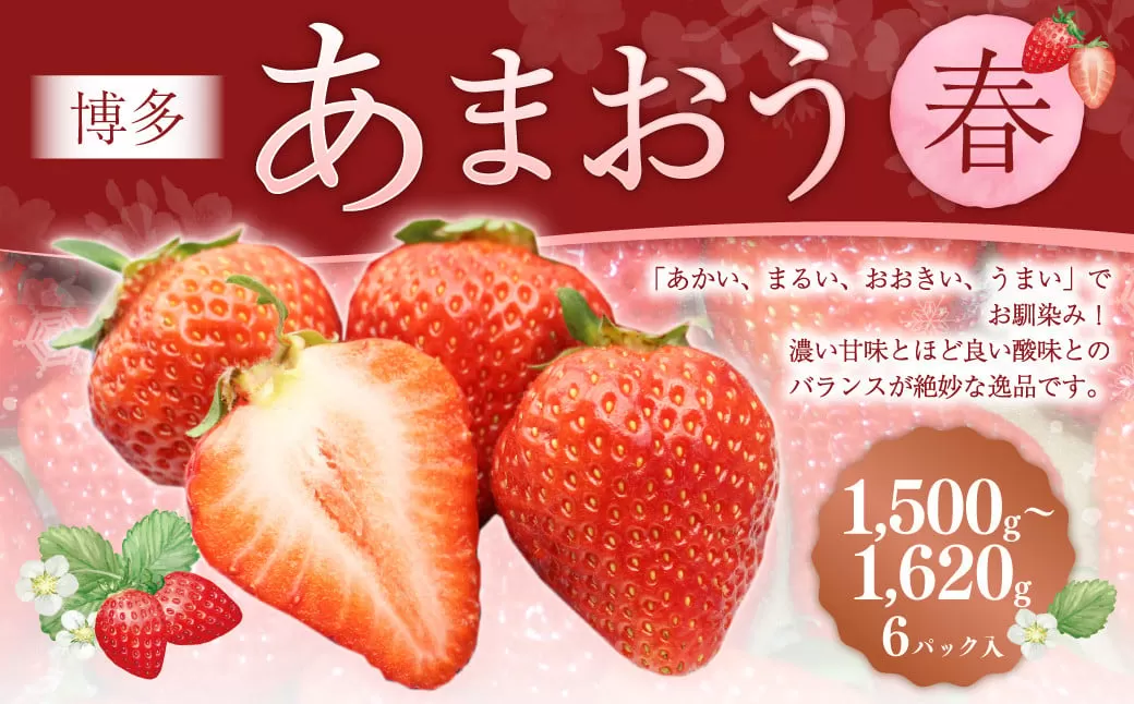 博多あまおう6パック（春） 250g～270g×6パック 合計約1500g～1620g あまおう いちご 苺 イチゴ フルーツ 果物 くだもの【2026年2月上旬-4月下旬発送予定】