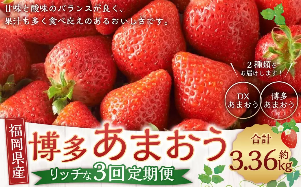 【3回定期便】博多あまおうリッチな定期便 いちご イチゴ 苺 【2025年12月上旬～2026年2月下旬発送予定】