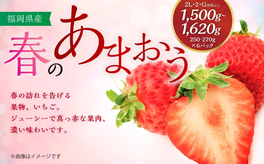 春のあまおう(2L・2A・G規格以上 6パック)【数量限定】 あまおう いちご イチゴ 苺 果物 くだもの フルーツ【2026年3月上旬～4月下旬発送予定】