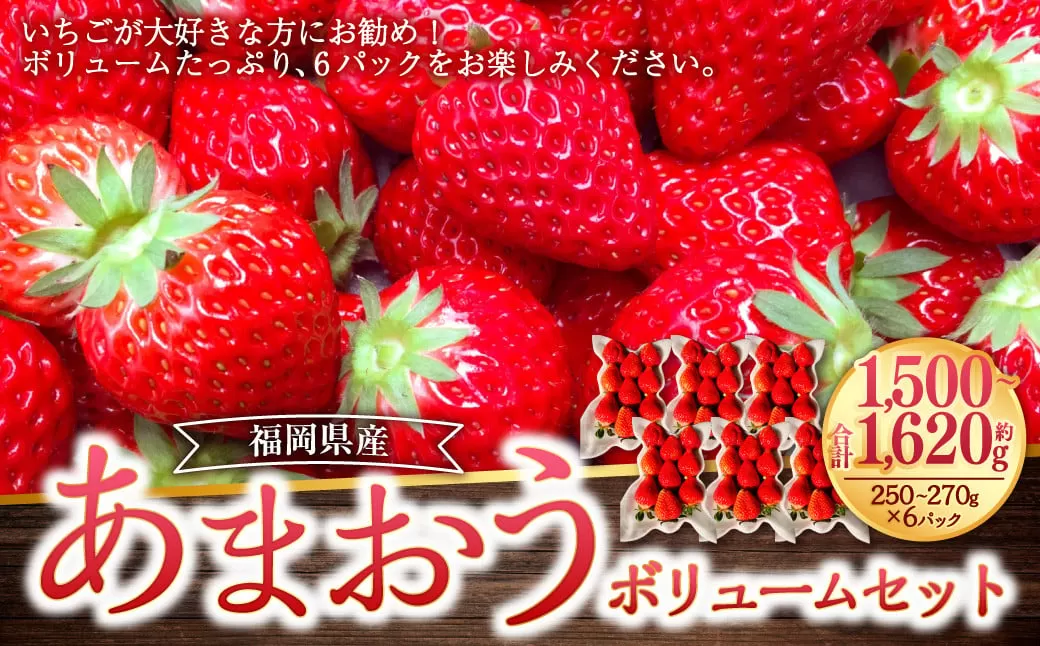 あまおうボリュームセット 6パック あまおう いちご イチゴ 苺 果物 くだもの フルーツ【2026年2月上旬～4月上旬発送予定】