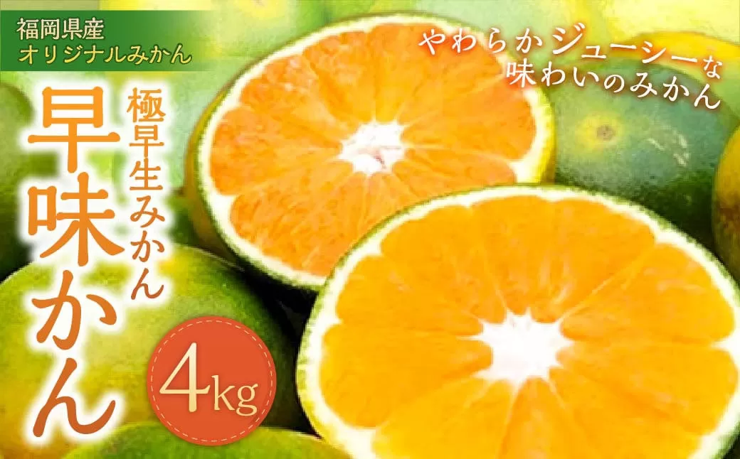 福岡県産 極早生みかん・早味かん 約4kg 早生 ミカン 果物 くだもの フルーツ 柑橘 かんきつ 【2025年9月上旬～9月下旬発送予定】