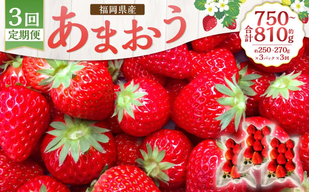 【3回定期便】あまおう 3パック あまおう いちご イチゴ 苺 果物 くだもの フルーツ【2026年1月下旬～4月下旬発送予定】