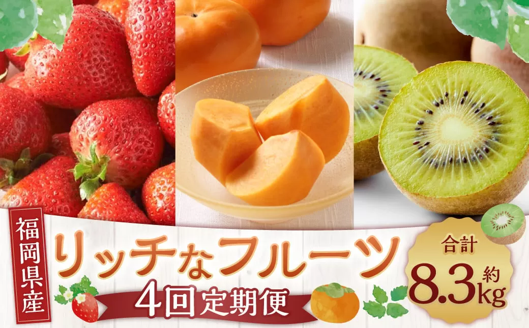 【4回定期便】福岡のリッチなフルーツ定期便 くだもの いちご キウイ 柿 【2025年10月下旬～2026年1月下旬発送予定】