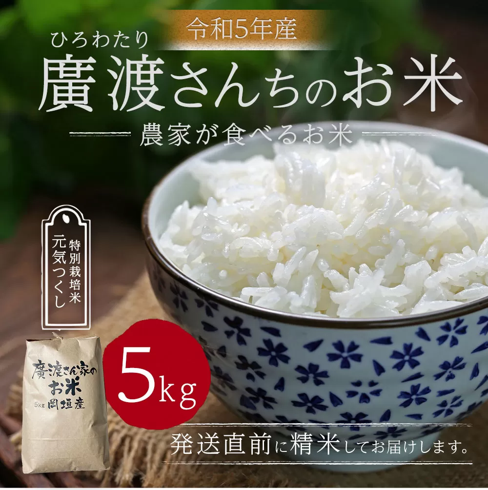 【令和5年産】農家が食べるお米「廣渡さんちのお米」5kg 精米