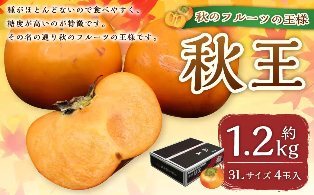 福岡県ブランド柿「秋王」約1.2kg 3Lサイズ 4玉入り 柿 カキ かき 果物 くだもの フルーツ 【2025年10月下旬～11月下旬発送予定】
