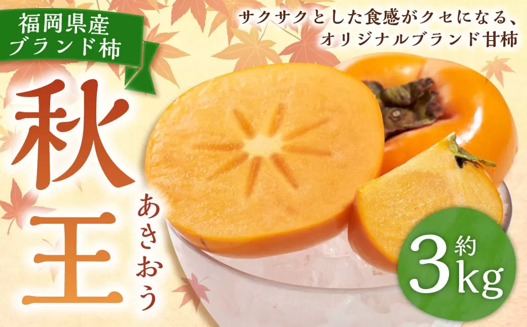 福岡県産ブランド柿・秋王 約3kg （8-12玉） 柿 カキ かき 果物 くだもの フルーツ 冷蔵 国産 岡垣町 【2025年10月下旬～11月下旬発送予定】
