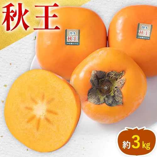 【26年度出荷】柿 秋王 約3kg（8-12玉） 南国フルーツ株式会社《10月下旬-11月末出荷》福岡県 鞍手町 福岡県産 柿 フルーツ 果物