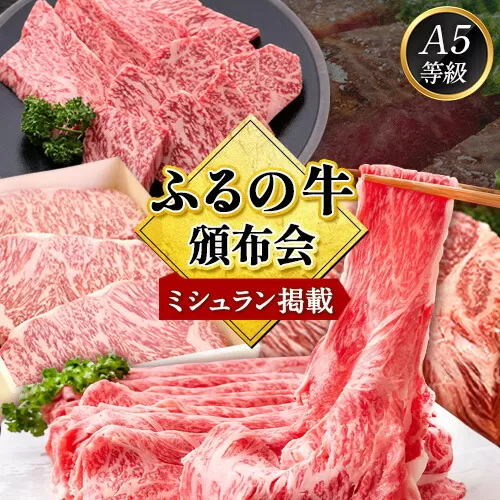 鞍手町 ふるの牛 頒布会 計5kg以上 全6回《お申込み翌月から出荷》ふるの牛 サーロインステーキ 特選焼き肉用 ロース カルビ すき焼き しゃぶしゃぶ ロース サーロインブロック 焼肉 焼肉用 定期便 頒布会 3ヶ月定期便