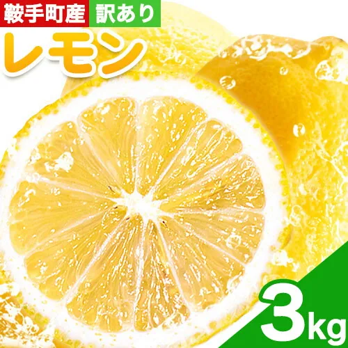 レモン 訳あり 3kg 株式会社まるせい農園《11月上旬-1月末頃出荷》レモン フルーツ スイーツ くだもの 果物 レモン果汁 ふるさと納税 福岡県 鞍手町