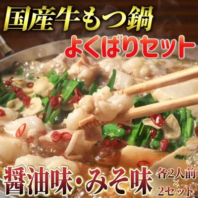 博多 もつ鍋 よくばり食べ比べセット 醤油味2人前 味噌味2人前 計4人前 国産牛 マルゴめん《30日以内に出荷予定(土日祝除く)》もつ鍋 醤油味 味噌味 4人前 もつ モツ 鍋 なべ 鍋セット 食べ比べ冷凍