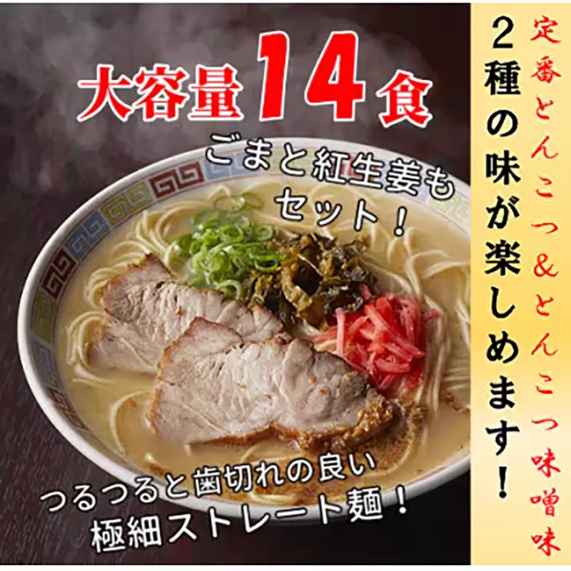 博多ラーメン 14人前 株式会社フーデリジェンス《30日以内に出荷予定(土日祝除く)》 ラーメン
