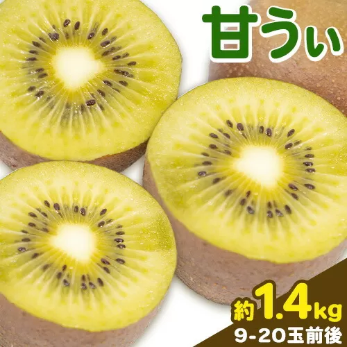 甘うぃ 約1.4kg 9-20玉前後《10月中旬-11月末頃出荷》福岡県 鞍手郡 鞍手町 キウイフルーツ キウイ 福岡県オリジナル 新品種 甘うぃ 果物 くだもの フルーツ【配送不可地域あり】