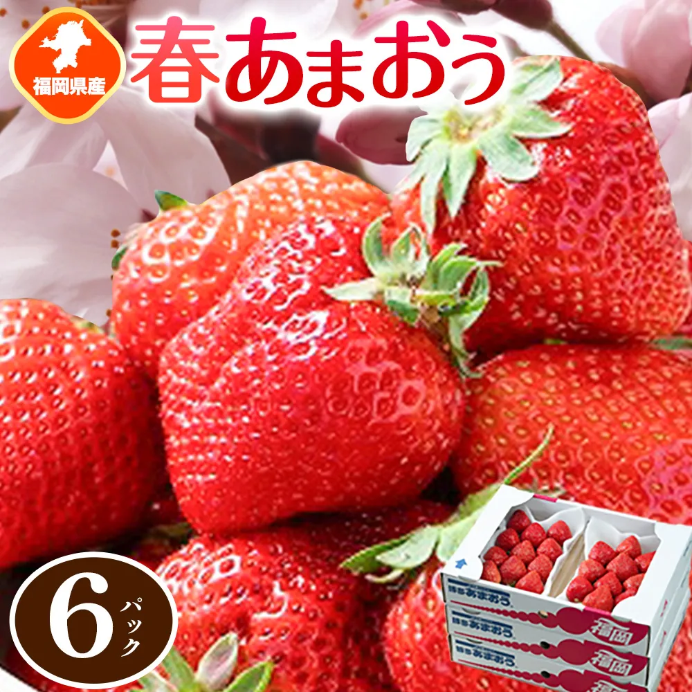 福岡県産 春あまおう 6パック 南国フルーツ株式会社《2月上旬-3月末頃出荷》福岡県 鞍手町 あまおう いちご イチゴ 送料無料【配送不可地域あり】