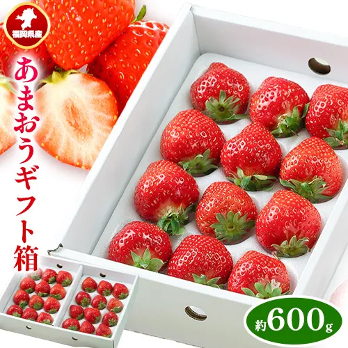 福岡県産 あまおう ギフト箱 約600g 南国フルーツ株式会社《12月上旬-3月末頃出荷》福岡県 鞍手町 あまおう いちご イチゴ 送料無料【配送不可地域あり】