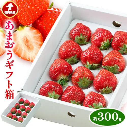 福岡県産 あまおう ギフト箱 約300g 南国フルーツ株式会社《12月上旬-3月末頃出荷》福岡県 鞍手町 あまおう いちご イチゴ 送料無料【配送不可地域あり】