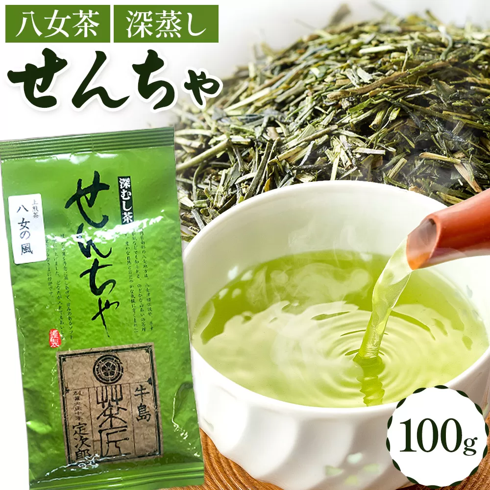 八女茶 深蒸し 茶煎茶 100g 株式会社ＪＳＥ《30日以内に出荷予定(土日祝除く)》福岡県 鞍手郡 鞍手町 お茶 煎茶 深蒸し茶 お茶 茶葉 お茶の葉 お茶葉 煎茶 国産 日本茶 飲物 飲み物 飲みもの のみもの