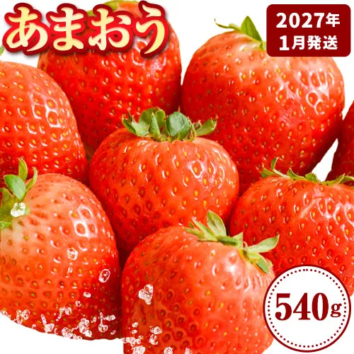 いちご あまおう 先行予約 いちご 大量 540g   フルーツ《2027年1月上旬-1月末頃出荷》苺 旬 くだもの 果物 福岡県 鞍手町【配送不可地域あり】