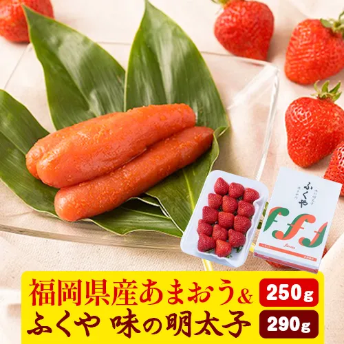 福岡県産あまおう & ふくや味の明太子 290g 南国フルーツ株式会社《12月上旬-3月末頃出荷》福岡県 鞍手町 あ