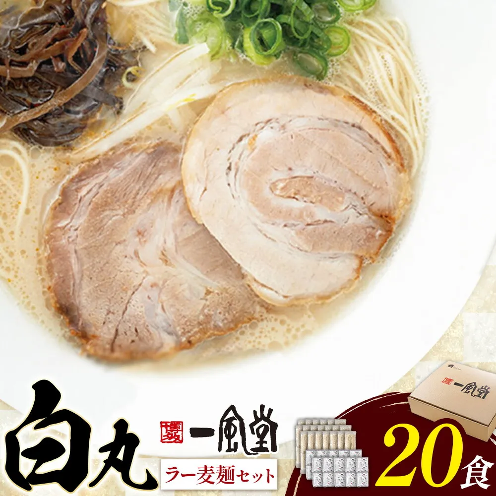 ラーメン 一風堂 白丸 ラー麦麺 セット 20食 地域商社ふるさぽ《90日以内に出荷予定(土日祝除く)》福岡県 鞍手町 ラーメン とんこつ 豚骨スープ 豚骨ラーメン ラー麦 麺