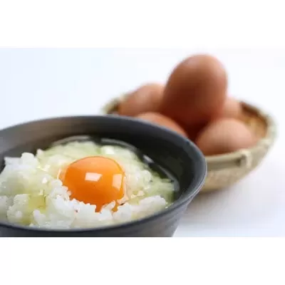 朝獲れ卵 味宝卵 (80個) 卵 Lサイズ 鶏卵《90日以内に出荷予定(土日祝除く)》