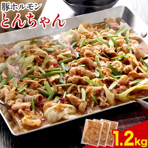 豚ホルモン とんちゃん 1.2kg 独楽 送料無料《30日以内に出荷予定(土日祝除く)》 福岡県 鞍手郡 鞍手町 豚 ホルモン