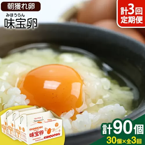 【定期便】計3回お届け 朝獲れ卵 味宝卵 (計90個) 30個×3回お届け 卵 Lサイズ 鶏卵 《お申込み翌月から出荷》福岡 卵 Lサイズ 鶏卵
