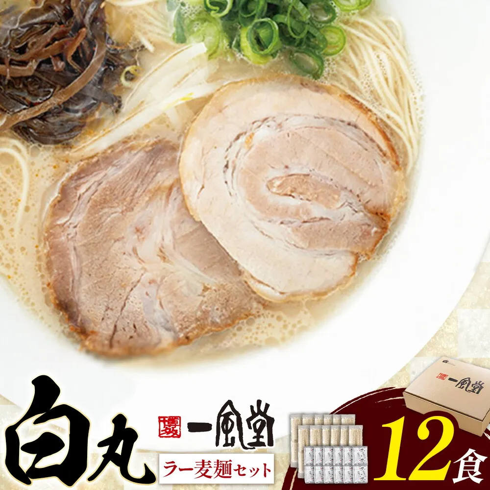 ラーメン 一風堂 白丸 ラー麦麺 セット 12食 地域商社ふるさぽ《90日以内に出荷予定(土日祝除く)》福岡県 鞍手町 ラーメン とんこつ 豚骨スープ 豚骨ラーメン ラー麦 麺
