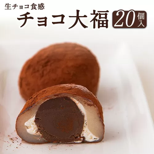 生チョコ食感 チョコ大福 20個 北九食品株式会社 《30日以内に出荷予定(土日祝除く)》大福 和菓子 スイーツ 鞍手郡