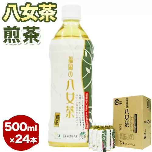 八女茶 煎茶ペットボトル 500ml×24本 株式会社親和園《30日以内に出荷予定(土日祝除く)》 お茶 緑茶 茶 八女茶 ペットボトル
