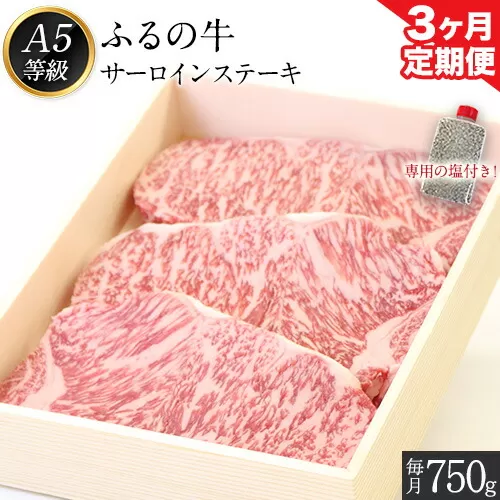 【3ヶ月定期便】ふるの牛（黒毛和牛）特選サーロインステーキ 750g(250g×3枚) ゲランド塩付き A5 有限会社ふるの《お申込み翌月から出荷》3回お届け 計3回 定期便 2kg以上