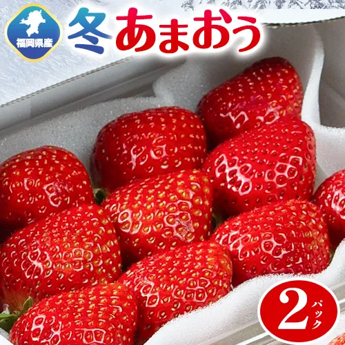 福岡県産 冬あまおう 2パック 南国フルーツ株式会社《12月上旬-1月末頃出荷》福岡県 鞍手町 あまおう いちご イチゴ 送料無料【配送不可地域あり】