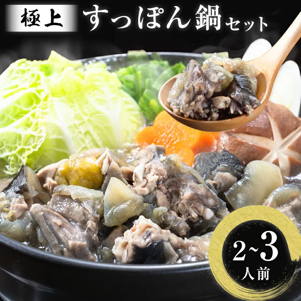 極上 すっぽん 鍋 セット （2~3人前） とらふぐ 活すっぽん料理鍋会席みはし《30日以内に順次出荷(土日祝除く)》