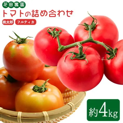 トマト2種の詰め合わせセット 約4kg 花田農園《6月上旬-7月末頃出荷》野菜 トマト 送料無料 福岡県 鞍手町