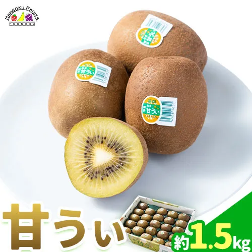 【26年度出荷】キウイ 甘うぃ 約1.5kg 南国フルーツ株式会社《10月下旬-11月末出荷》福岡県 鞍手町 あまおう 福岡県産 キウイ フルーツ キウイフルーツ 果物