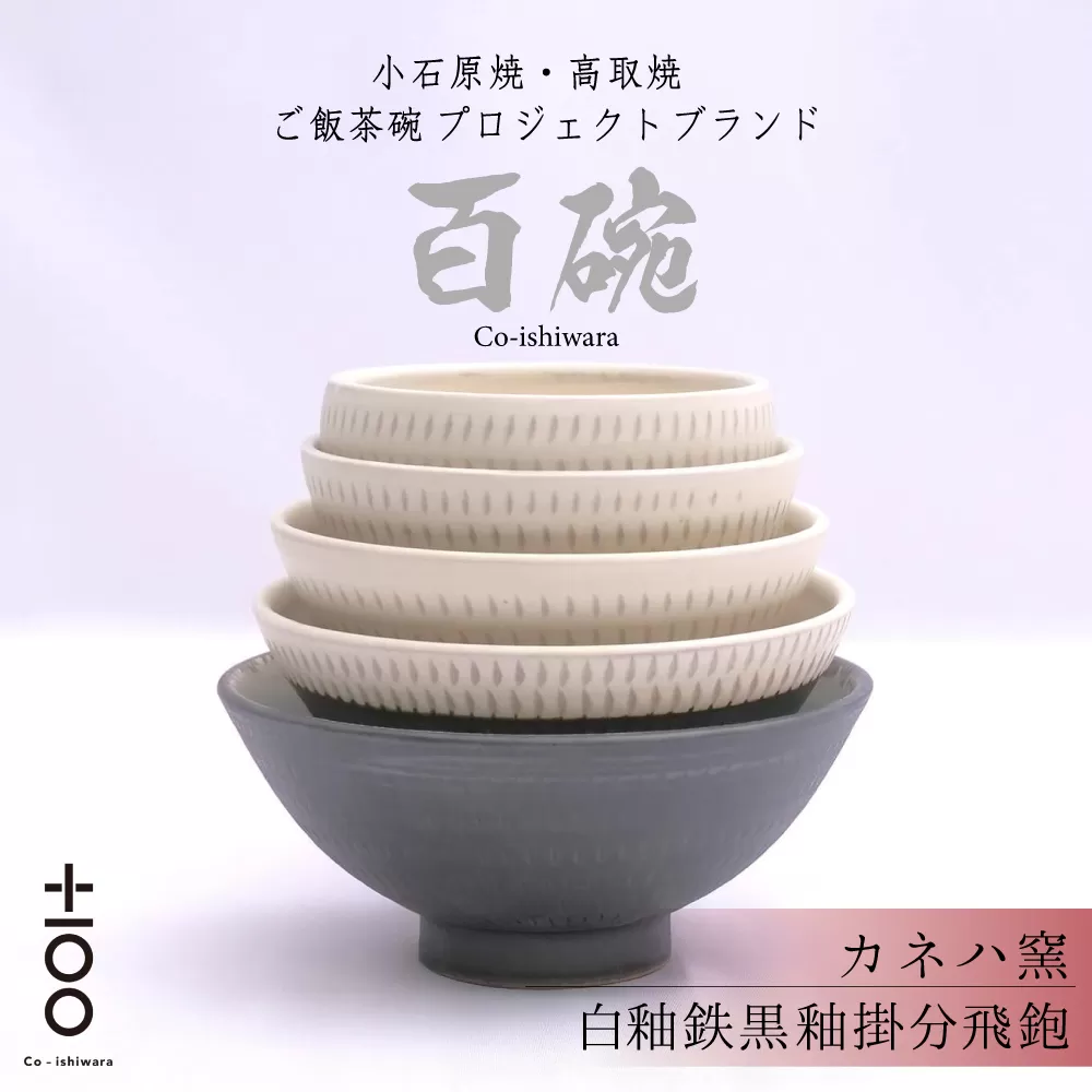 FR9 百碗  白釉鉄黒釉掛分飛鉋 (カネハ窯)