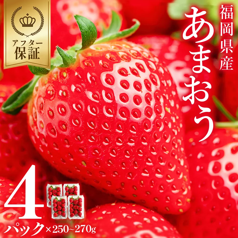 3S12 【先行予約／2027年出荷】福岡県産 あまおう 約250-270g × 4パック