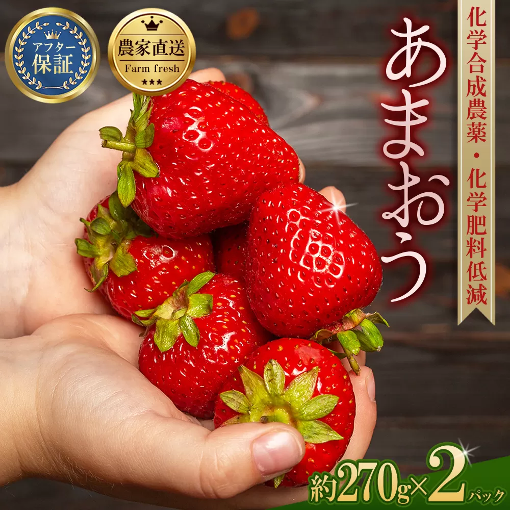 3S14 農家直送！特別栽培あまおう270ｇ×2パック【数量限定】