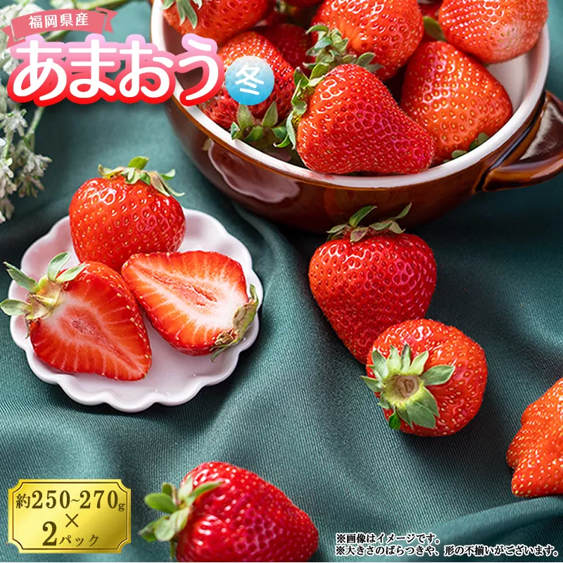 3V1 【冬】福岡産あまおう2パック