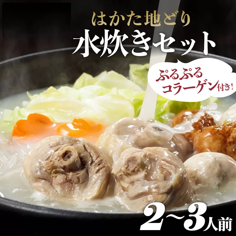 2L4　はかた地どり　美人水炊きセットA（2〜3人前）