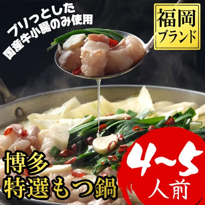 博多もつ鍋 4～5人前 4H15