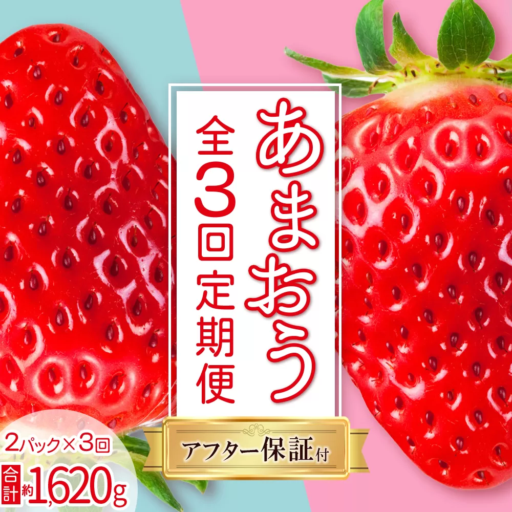 3S20 福岡県産 あまおう約270g前後×2パック [定期便 全3回]